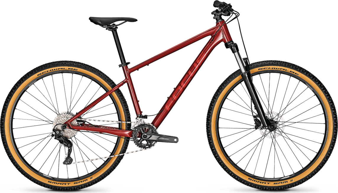 FOCUS Whistler 3.7 EQP